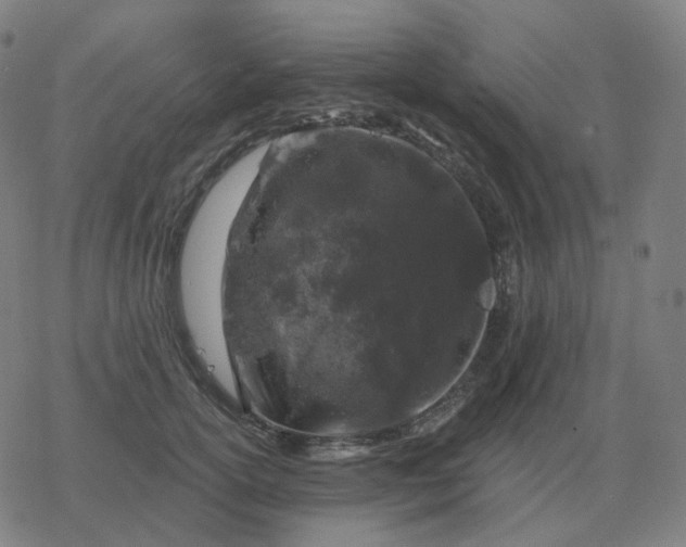 X0000068890754200605122033