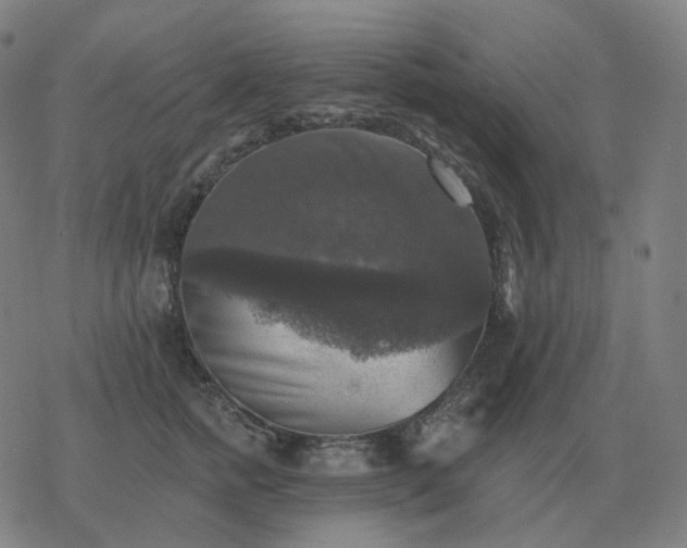 X0000068890758200605122033