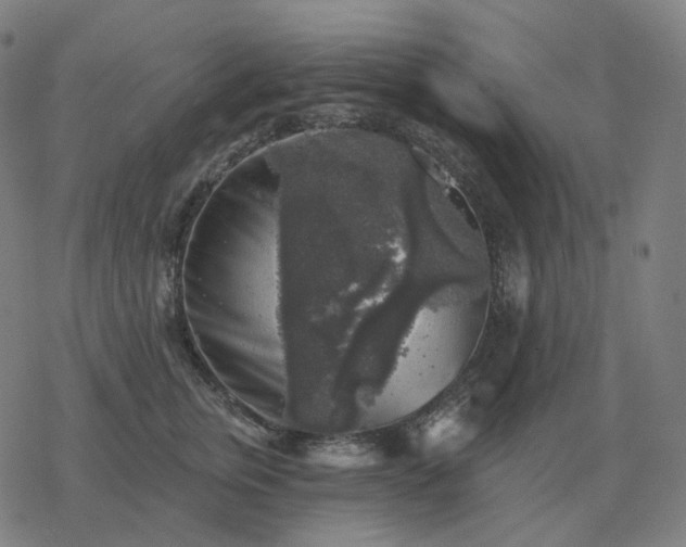 X0000068890759200605122033