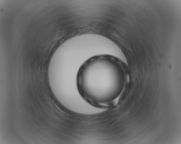 X0000068890760200605122034