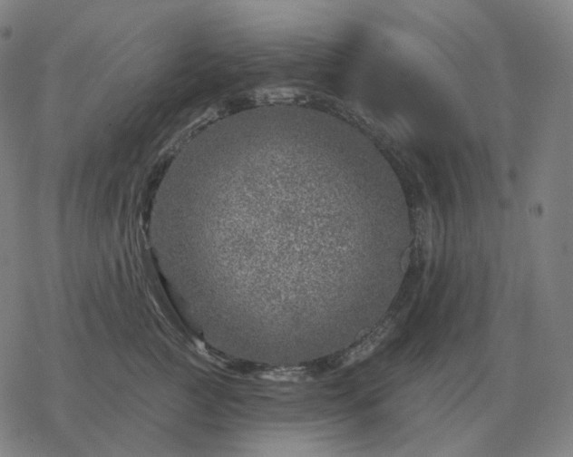 X0000068890761200605122034