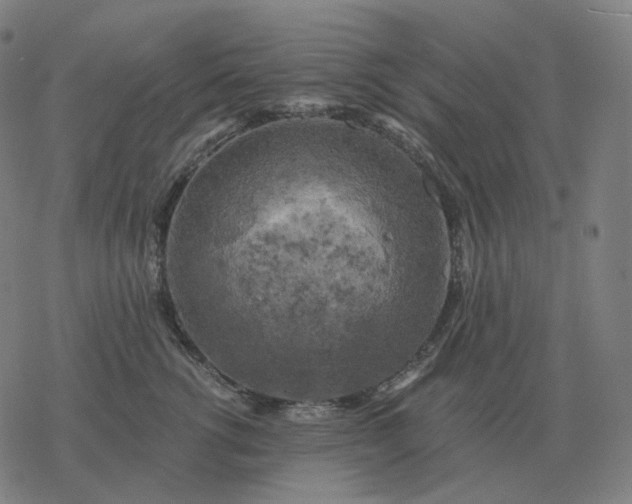 X0000068890762200605122034