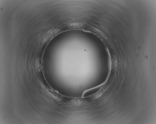 X0000068890764200605122034