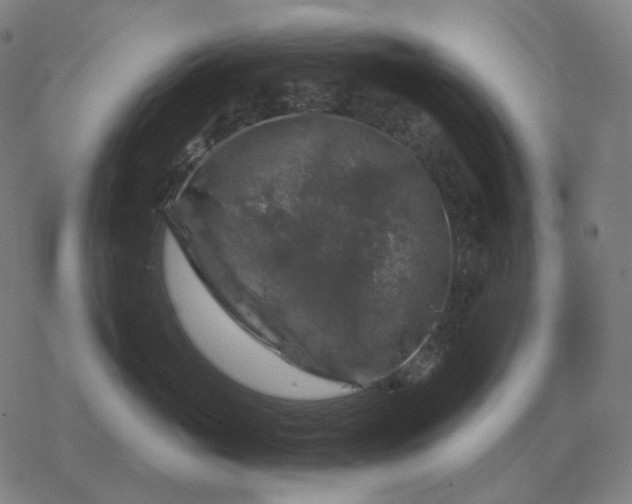 X0000068890765200605122034