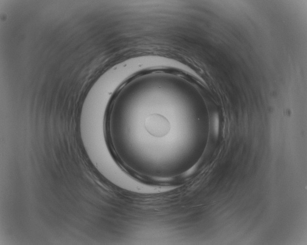 X0000068890766200605122034