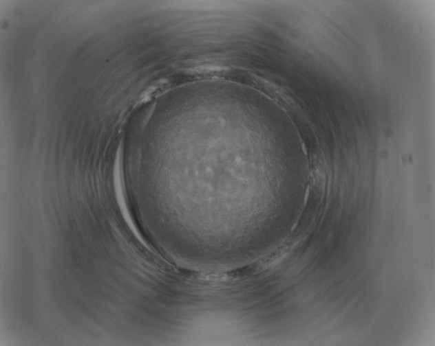 X0000068890767200605122034