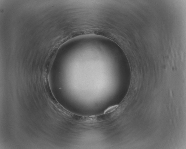 X0000068890768200605122034