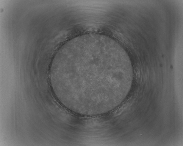 X0000068890769200605122033