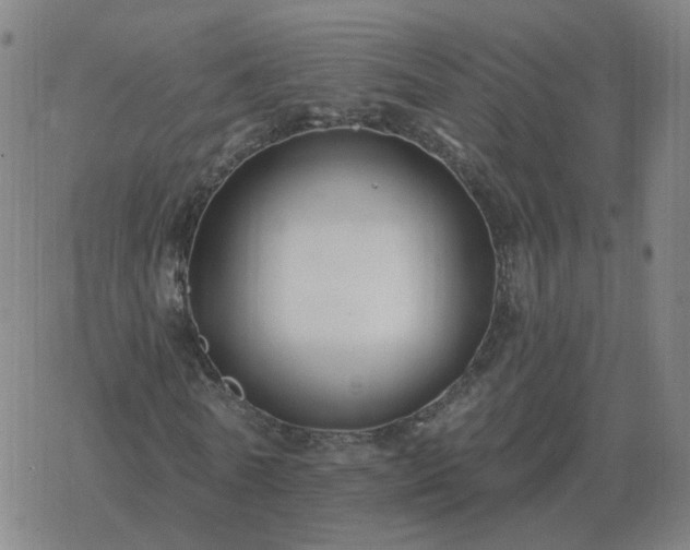 X0000068890770200605122033