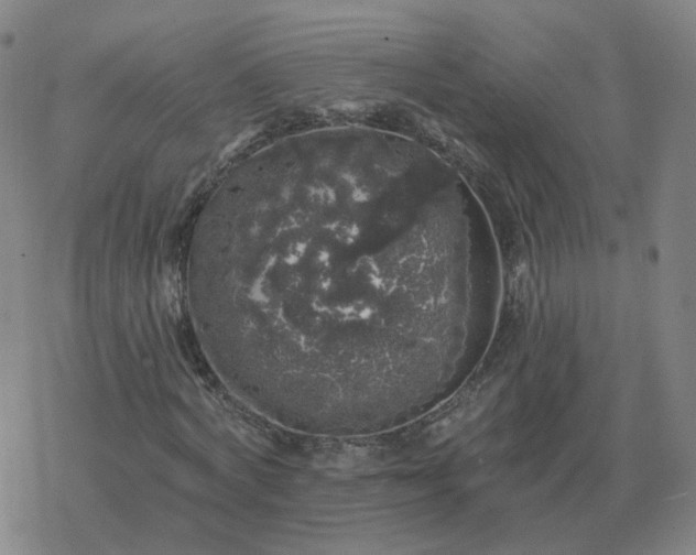 X0000068890772200605122033