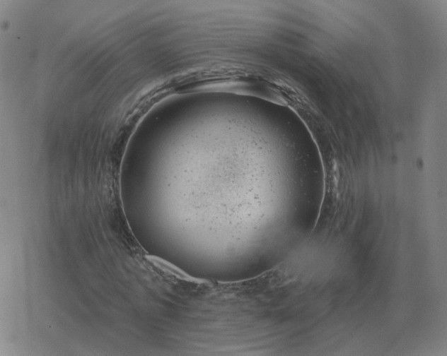 X0000068890773200605122033