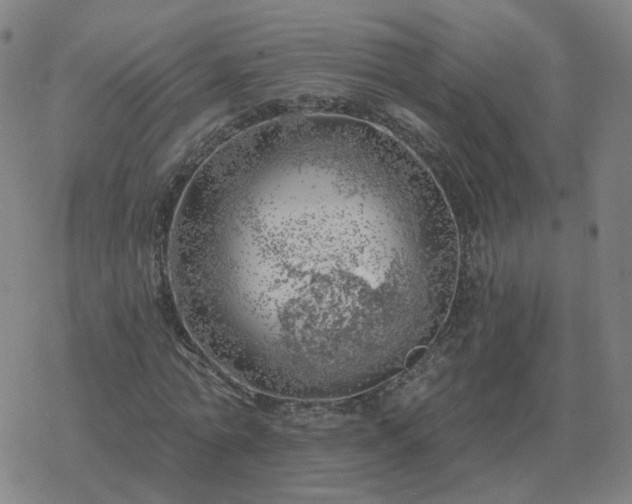 X0000068890774200605122033