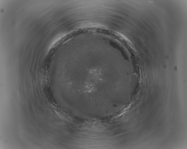 X0000068890775200605122033