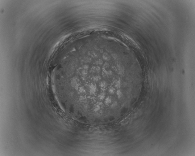 X0000068890776200605122033