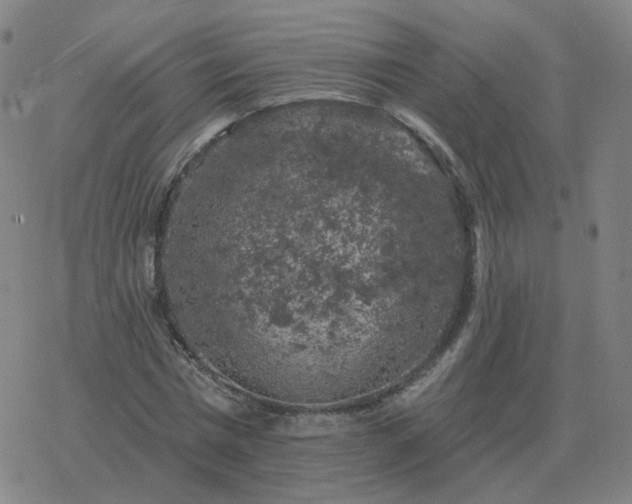 X0000068890777200605122033