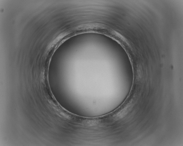 X0000068890778200605122033