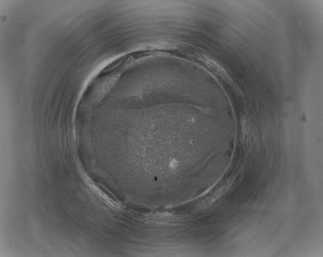 X0000068890784200605122033