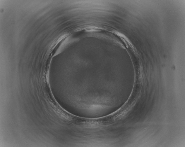 X0000068890785200605122033