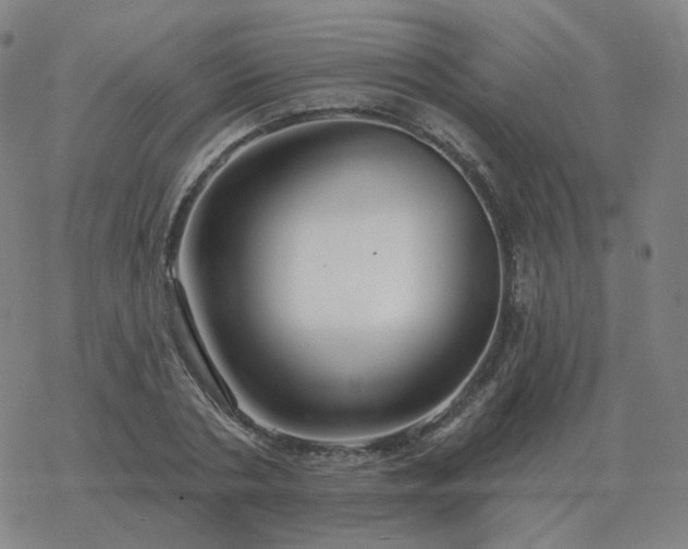 X0000068890786200605122033