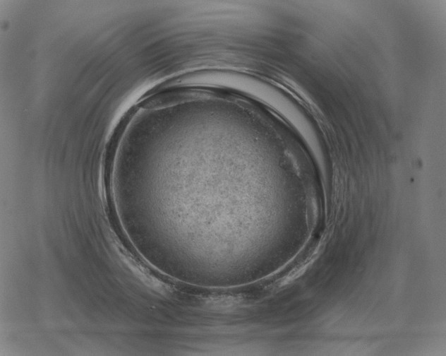 X0000068890788200605122033