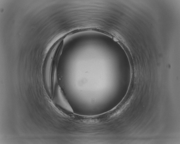 X0000068890789200605122033