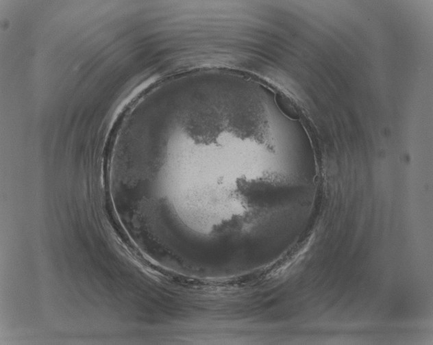 X0000068890790200605122033