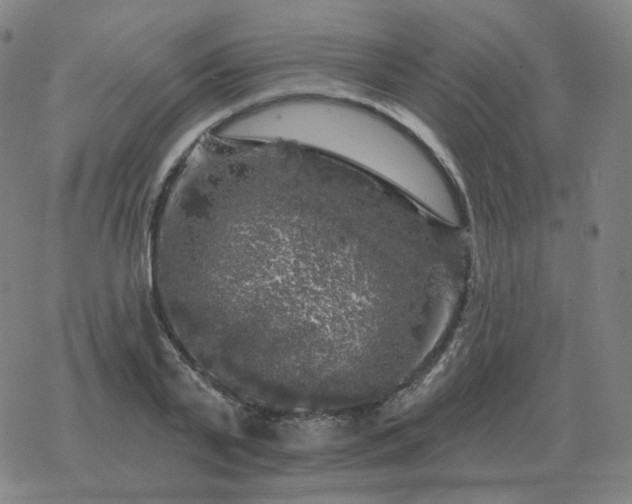 X0000068890791200605122033