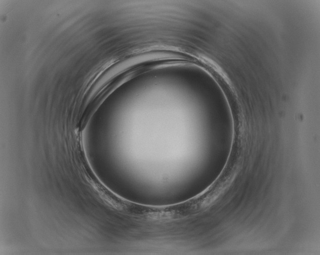 X0000068890793200605122032