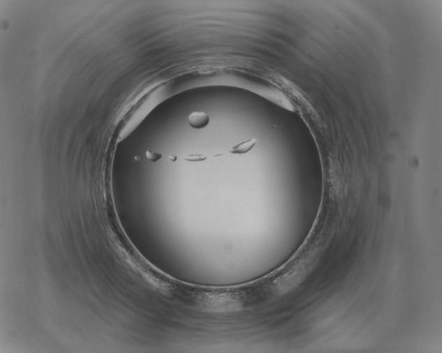 X0000068890794200605122032