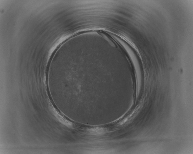 X0000068890797200605122032