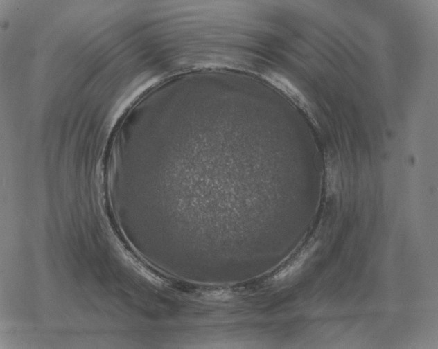 X0000068890798200605122032