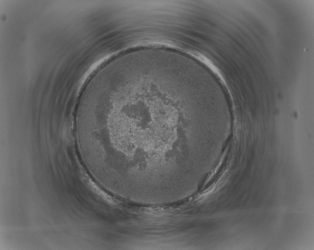 X0000068890799200605122032