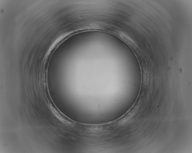 X0000068890800200605122032