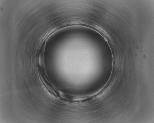 X0000068890801200605122032