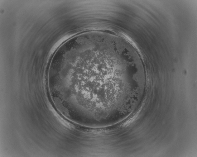 X0000068890803200605122032