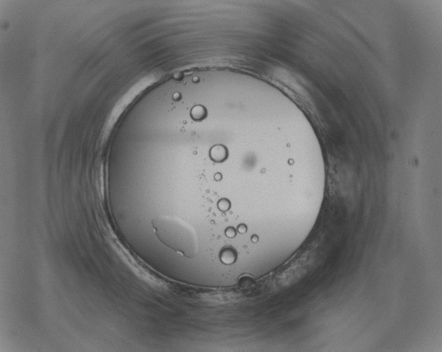 X0000068890804200605122032