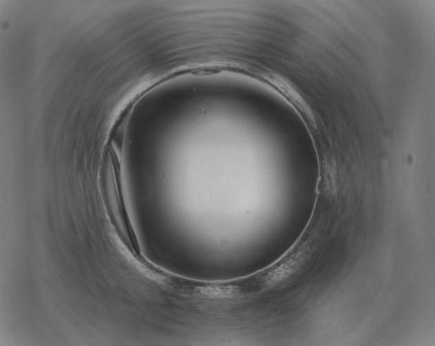 X0000068890805200605122032