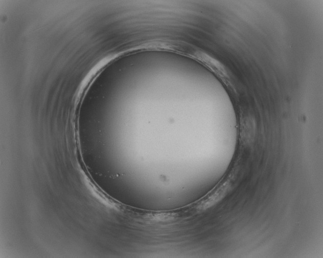 X0000068890808200605122032