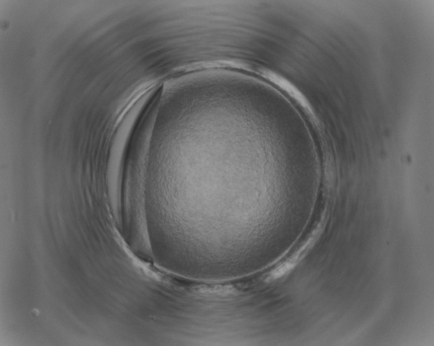 X0000068890809200605122032