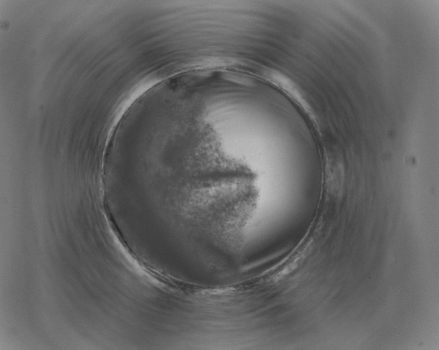 X0000068890810200605122032