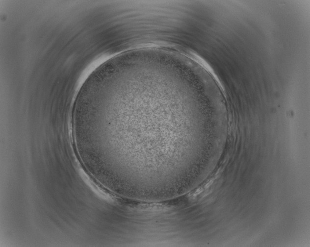 X0000068890811200605122032