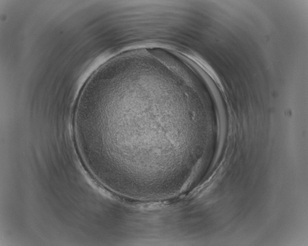 X0000068890813200605122032