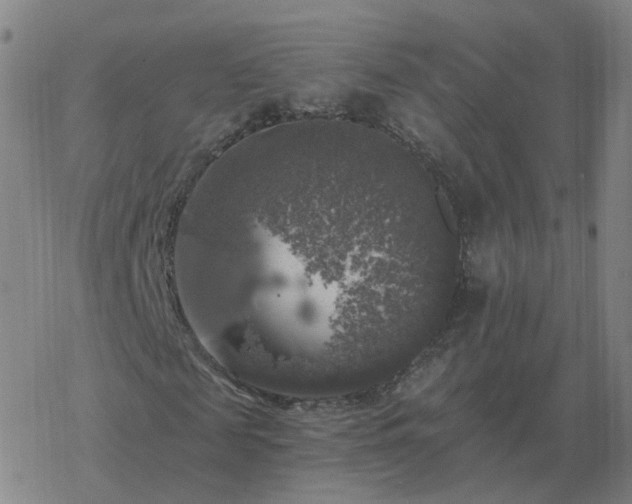 X0000068890817200605122031