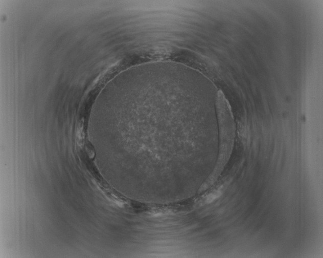 X0000068890818200605122031