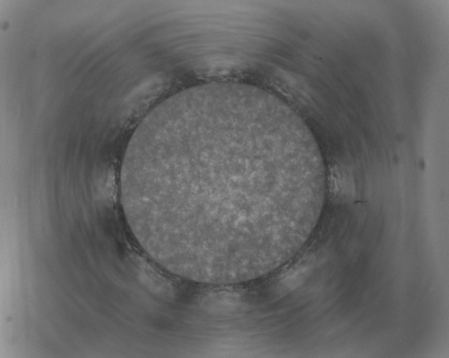 X0000068890820200605122031