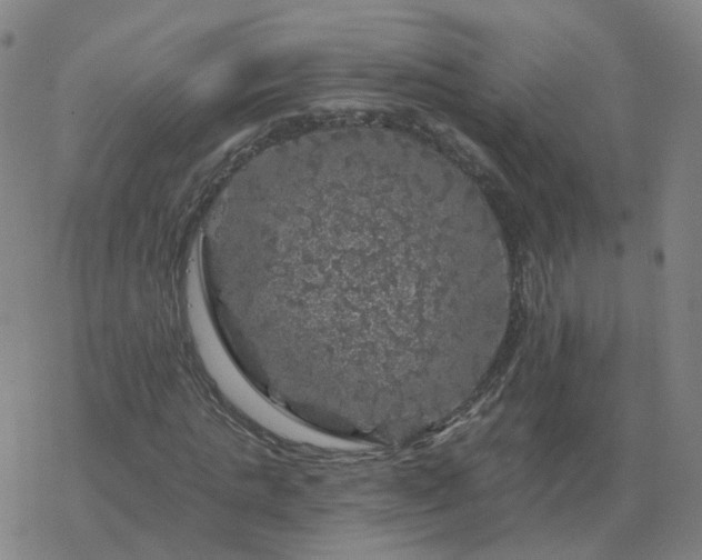 X0000068890821200605122031