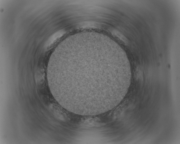 X0000068890824200605122031