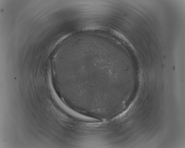 X0000068890825200605122031