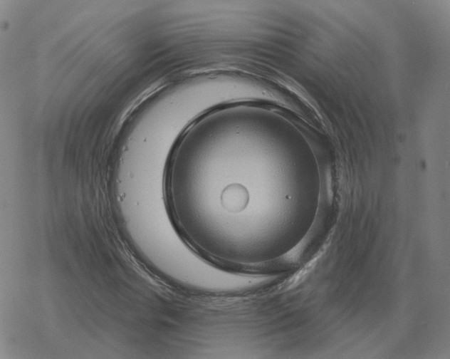 X0000068890826200605122031