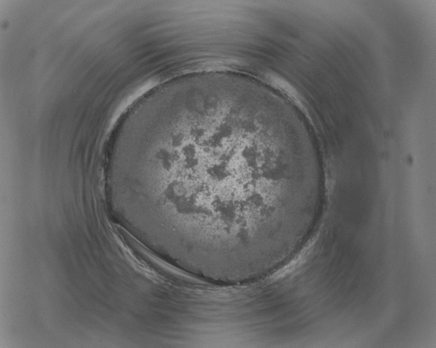 X0000068890827200605122031